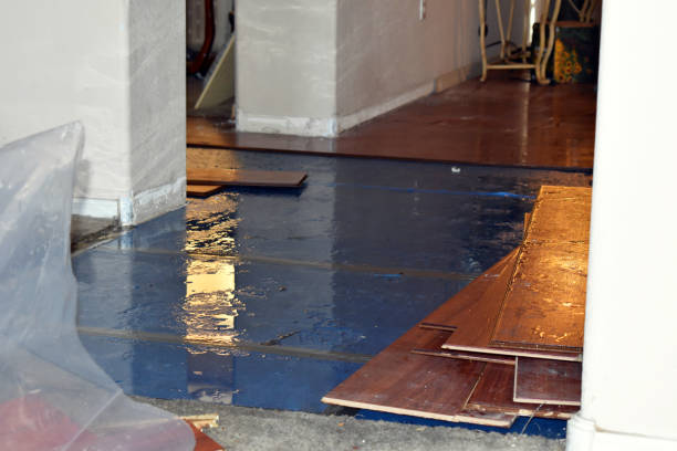 Professional Basement Water Removal technician working in Tornado, WV