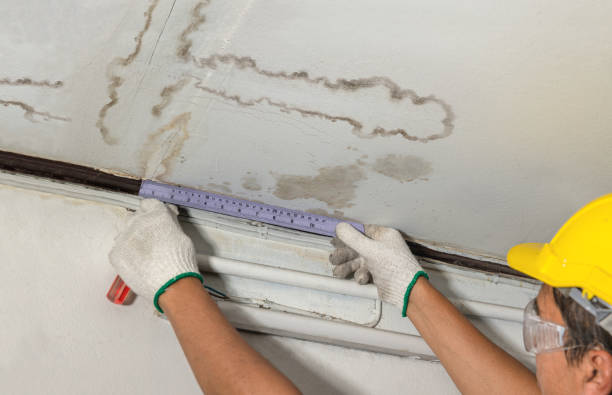 Reliable Basement Water Removal contractor in Tornado, WV by Water Damage Irwin
